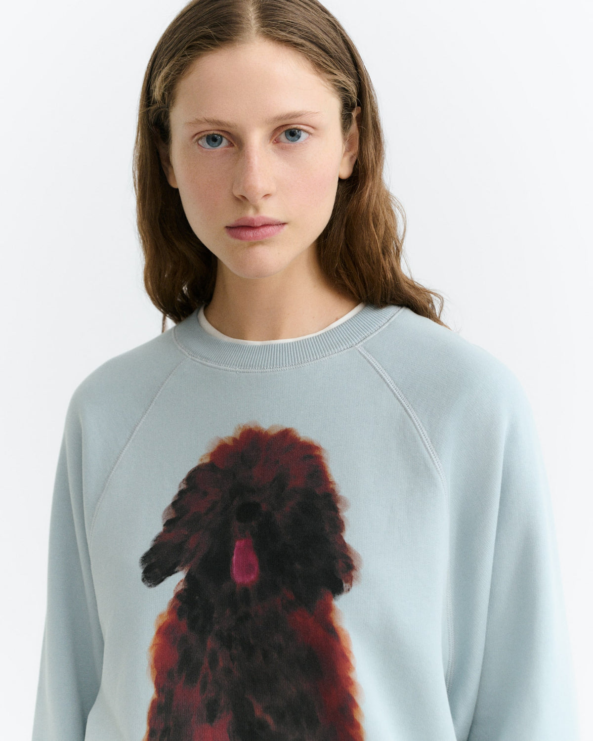 Pet Portrait Blue Bonnie Sweatshirt